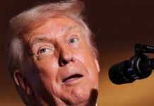 donald trump 1 1200x630.jpg