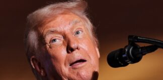 donald trump 1 1200x630.jpg