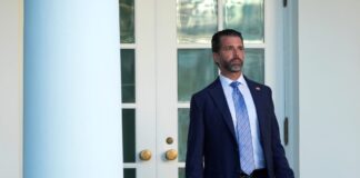 donald trump jr 1 1200x630.jpg