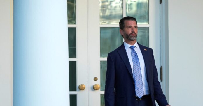 donald trump jr 1 1200x630.jpg donald trump jr 1 1200x630.jpg