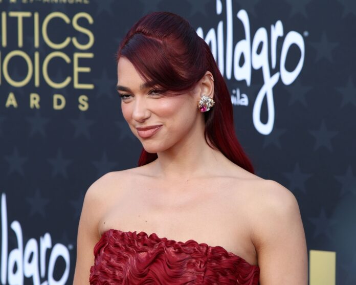 dua lipa google beauty.jpg dua lipa google beauty.jpg