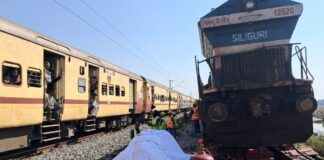 elefantes india 2 1200x630.jpg