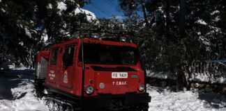 emak 1200x675 1 1200x630.jpg