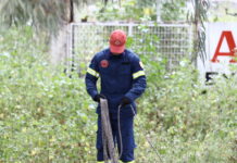 emak eurok 1200x630.jpg