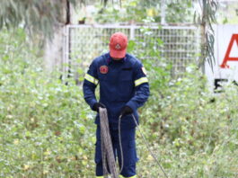 emak eurok 1200x630.jpg