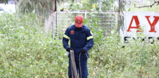 emak eurok 1200x630.jpg