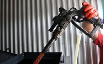 epidoma thermansis 1 3.jpg