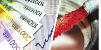 epidoma thermansis 2.jpg