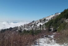 erevnes serres dioikitis 2 1200x630.jpg