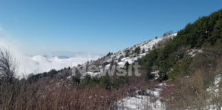 erevnes serres dioikitis 2 1200x630.jpg