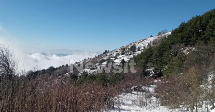 erevnes serres dioikitis 2 1200x630.jpg