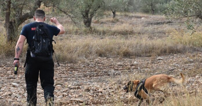 ereynes 1 1200x630.jpg