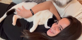 eulampia revi 1 1200x630.jpg