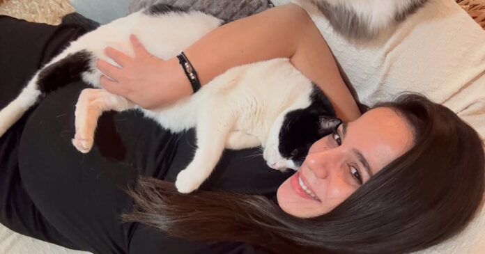 eulampia revi 1 1200x630.jpg eulampia revi 1 1200x630.jpg