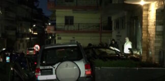 evosmos 1200x630.jpg