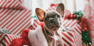 f2d795d425ab90a07a746fd4c6d420f8 L.jpg