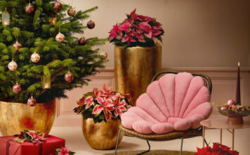 f7b3a79879a5e080e117c978b51ae713 L.jpg