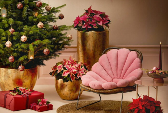 f7b3a79879a5e080e117c978b51ae713 L.jpg f7b3a79879a5e080e117c978b51ae713 L.jpg