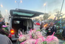 fanaria agrotes 1 1200x630.jpg