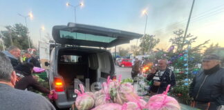 fanaria agrotes 1 1200x630.jpg