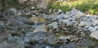 faraggi 1200x675 1 1200x630.jpg