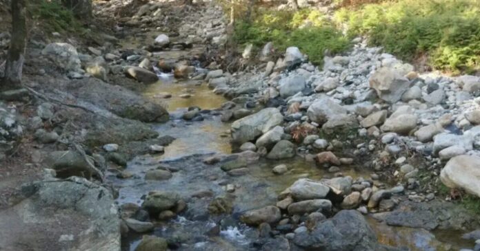 faraggi 1200x675 1 1200x630.jpg faraggi 1200x675 1 1200x630.jpg