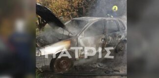 fotia skalani full 1200x630.jpg