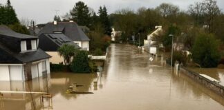 gallia plimmires 1200x630.jpg