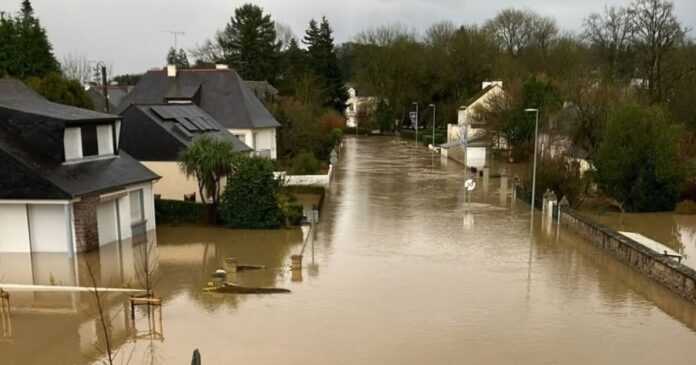 gallia plimmires 1200x630.jpg