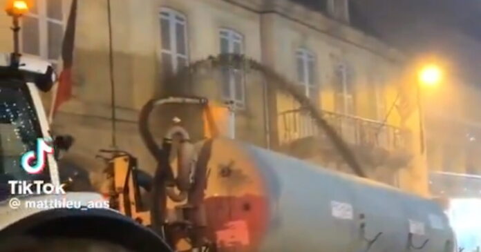 galloi kopria1 grab 1200x630.jpg