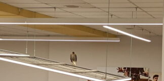 geraki3 1200x630.jpg