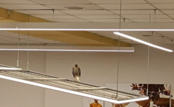 geraki3 1200x630.jpg