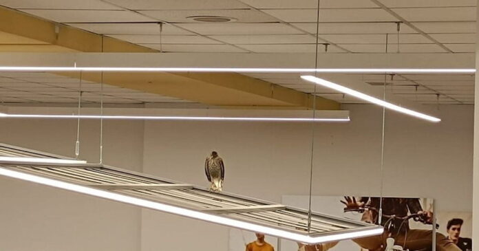 geraki3 1200x630.jpg geraki3 1200x630.jpg