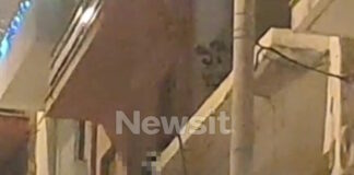 gkyzi soros 1200x630.jpg