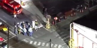 iaponia3 1200x630.jpg