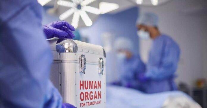 istock 1439788224 1200x675 1 1200x630.jpg