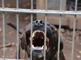 istock 1442696192 1200x630.jpg