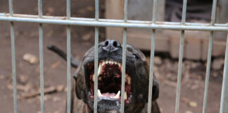 istock 1442696192 1200x630.jpg