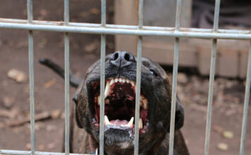 istock 1442696192 1200x630.jpg