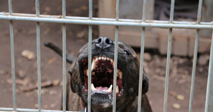 istock 1442696192 1200x630.jpg istock 1442696192 1200x630.jpg