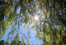 kairos 2 3 1200x630.jpg