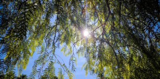 kairos 2 3 1200x630.jpg