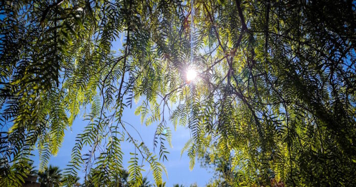 kairos 2 3 1200x630.jpg