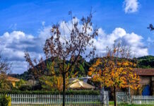 Καιρός αύριο: Ηλιοφάνεια με παροδικές νεφώσεις – Στους 17 βαθμούς η θερμοκρασία στην Αττική kairos 2 5 1200x630.jpg