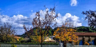 kairos 2 5 1200x630.jpg