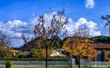 kairos 2 5 1200x630.jpg