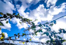 Καιρός σήμερα: Λιακάδα με τοπικές νεφώσεις – Δεν ξεπερνά τους 19 βαθμούς η θερμοκρασία kairos 3 2 1200x630.jpg