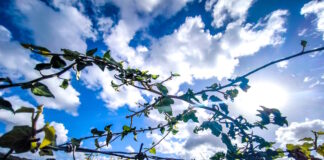 kairos 3 2 1200x630.jpg