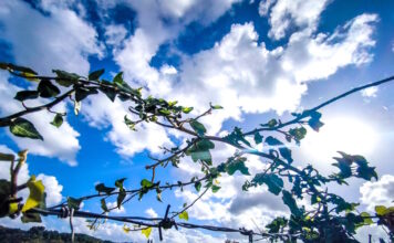 kairos 3 2 1200x630.jpg