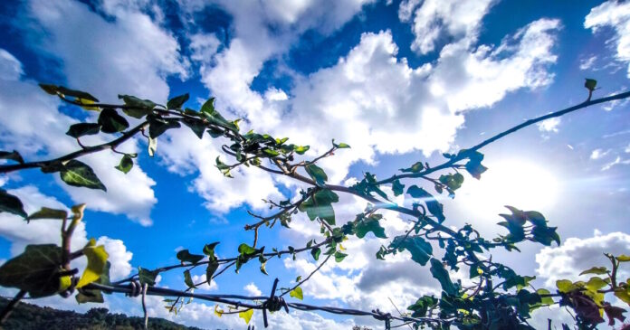 kairos 3 2 1200x630.jpg kairos 3 2 1200x630.jpg